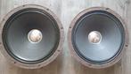 2 vintage nette RCF units. 8-ohm, 100db, frs-5khz, Overige merken, Gebruikt, Ophalen of Verzenden, 60 tot 120 watt