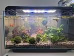Superfish home 30 aquarium, Ophalen of Verzenden, Zo goed als nieuw