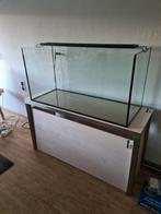 Aquarium 100x40x50 200L compleet, Dieren en Toebehoren, Vissen | Aquaria en Toebehoren, Ophalen of Verzenden, Zo goed als nieuw