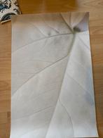 Beschermplaat voor electrische kookplaat, 3 kookzones of minder, Ophalen of Verzenden, Zo goed als nieuw, Vrijstaand