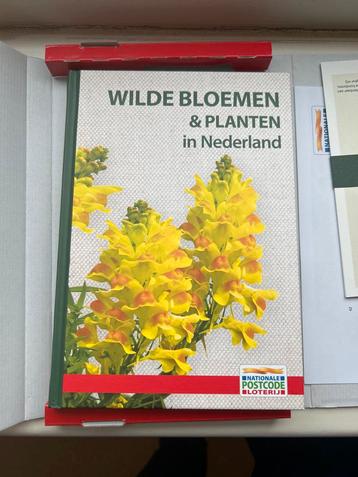 Wilde Bloemen & Planten in Nederland beschikbaar voor biedingen
