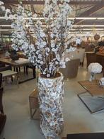 Hoge Schelp Vaas, Ophalen, Overige kleuren, Nieuw, Glas