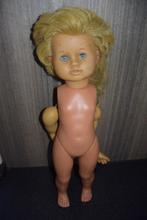 Uitdaging voor de schildpad pop Fans, Verzamelen, Poppen, Ophalen of Verzenden, Gebruikt, Pop