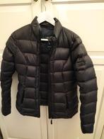 Winterjas zwart dames maat S Cavallaro, Kleding | Dames, Jassen | Winter, Ophalen of Verzenden, Zo goed als nieuw, Zwart