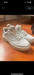 Nieuwe skechers maat 41, Kleding | Dames, Schoenen, Skechers, Wit, Nieuw, Ophalen of Verzenden