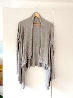 grijs vest Hugo Boss - Boss Orange mt L, Maat 42/44 (L), Ophalen of Verzenden, Zo goed als nieuw, Grijs