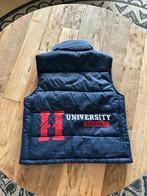 Coole bodywarmer lekker voor in de zomer, maat 4/5jaar, Ophalen of Verzenden, Zo goed als nieuw