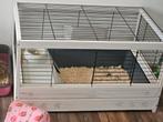 Ferplast konijnenhok, Dieren en Toebehoren, Gebruikt, Cavia, Hok, 75 tot 110 cm