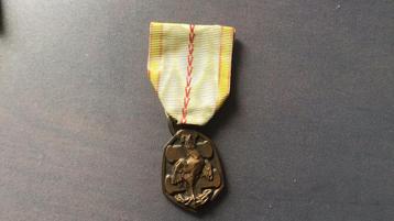 Frankrijk herinneringsmedaille wo2 1939-1945 beschikbaar voor biedingen