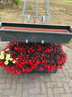 Plantenbakken, Tuin en Terras, Ophalen, Kunststof, Minder dan 30 cm, Minder dan 60 cm