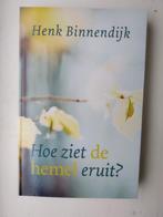 Hoe ziet de hemel eruit?, Boeken, Nieuw, Christendom | Protestants, Ophalen of Verzenden, Henk Binnendijk