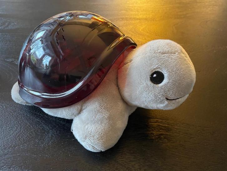 Zazu time projector Tim de schildpad, Kinderen en Baby's, Overige Kinderen en Baby's, Zo goed als nieuw, Ophalen of Verzenden