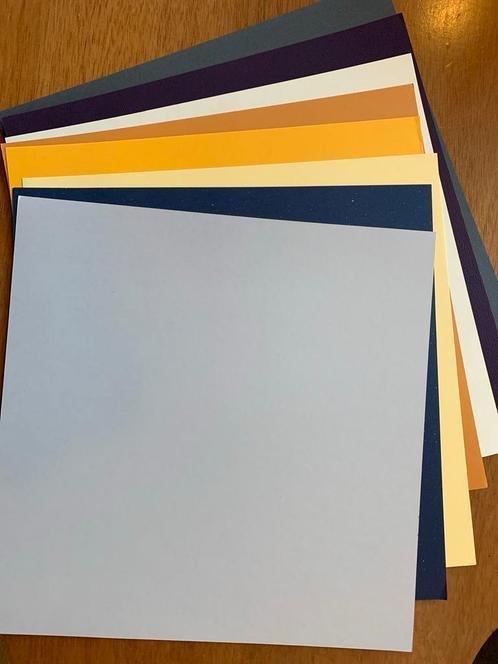 #4 Scrapbooking Papier en Karton - Diverse Kleuren 8 vellen, Hobby en Vrije tijd, Scrapbooking, Nieuw, Papier of Karton, Overige merken