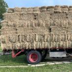 Hooi, Ophalen of Verzenden, Vee