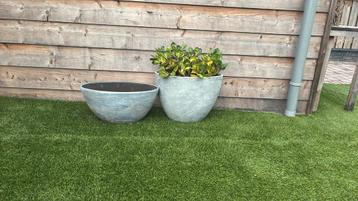 Set van 5 stijlvolle binnen-plantenpotten (zonder planten) beschikbaar voor biedingen