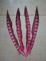 4 leuke roze veren , fazant veren carnaval, Materiaal, Ophalen of Verzenden, Zo goed als nieuw, Nvt