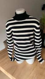 Scotch and soda coltrui, Kleding | Dames, Truien en Vesten, Ophalen of Verzenden, Zo goed als nieuw