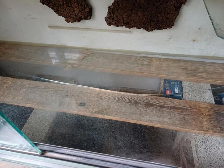 Terrarium T.e.a.b 150,60,60 staat in de weg, Dieren en Toebehoren, Reptielen en Amfibieën | Toebehoren, Ophalen