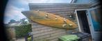 Gratis surfplank., Watersport en Boten, Windsurfen, Ophalen, Gebruikt, Plank