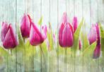 Tulpen op wit hout fotobehang, VLIES, bloemen, Muurdeco4kids, 10 tot 25 m², Tulpen, hout, bloemenbehang, trendy, Roze, Verzenden