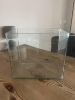 Klein aquarium voor bv betta, Ophalen of Verzenden, Leeg aquarium