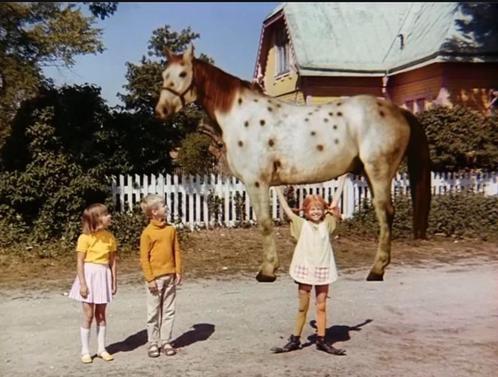 Stalhulp aangeboden!, Diensten en Vakmensen, Dieren | Paarden | Verzorging, Oppas en Les, Paardrijles of Ponykampen, Stalling of Weidegang