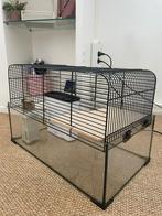 Hamsterkooi, Dieren en Toebehoren, Knaagdieren en Konijnen | Hokken en Kooien, Ophalen