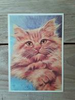 Vintage / retro - ansichtkaart kat - St. Kinderzegels - '60, Ophalen of Verzenden, 1960 tot 1980, Ongelopen, Overige thema's