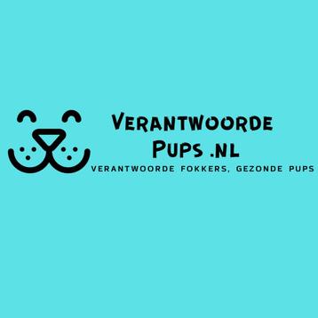 Verantwoorde Fokker? Bied uw pups nu GRATIS aan! beschikbaar voor biedingen