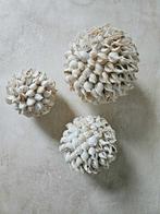 Schelpen decoratie bol 9 uit Bali, Huis en Inrichting, Woonaccessoires | Overige, Ophalen of Verzenden, Tropical Home, 6951nk