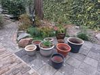 tuin en terras, Tuin en Terras, Bloempotten, Ophalen, Tuin, Rond, Zo goed als nieuw