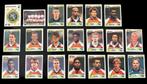 Panini Europa 96 Stickers EK Nederlands Elftal Oranje 1996, Verzamelen, Sportartikelen en Voetbal, Ophalen of Verzenden, Nieuw