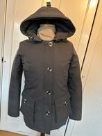 Airforce 4 pocket parka Gun Metal 13-16 jaar, Ophalen of Verzenden, Zo goed als nieuw, Maat 34 (XS) of kleiner