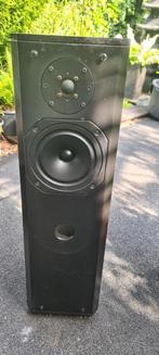 2 mooie driade 7, Ophalen, Zo goed als nieuw, 120 watt of meer, Overige merken