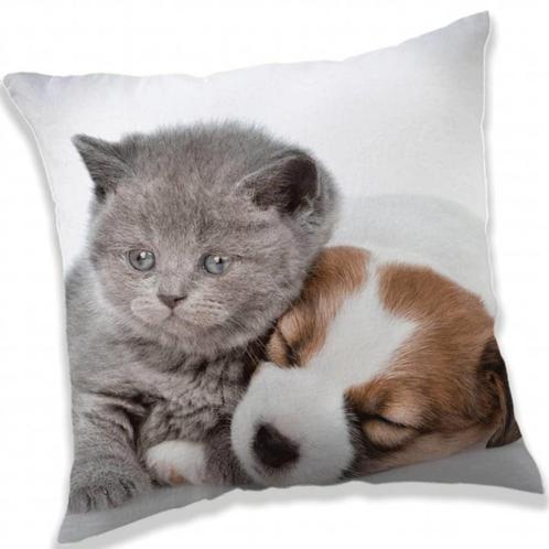 Puppy and Kitten - Sierkussen - 40 x 40 cm - Grijs NIEUW, Huis en Inrichting, Woonaccessoires | Kussens, Nieuw, Vierkant, Ophalen of Verzenden