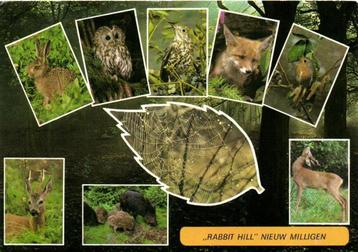 Rabbit Hill Nieuw Milligen - 9 afb - 1987 gelopen beschikbaar voor biedingen