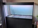 Aquarium 120cm krasvrij, Ophalen, Zo goed als nieuw, Leeg aquarium