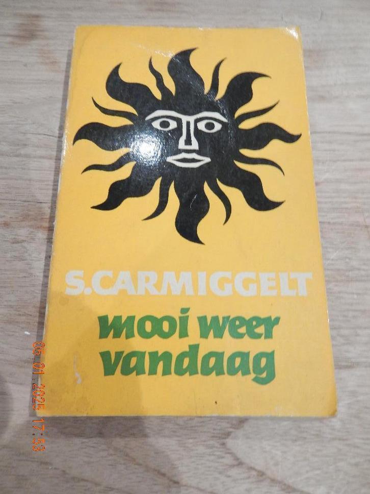 Mooi weer vandaag - Simon Carmiggelt, Boeken, Literatuur, Gelezen, Nederland, Ophalen of Verzenden