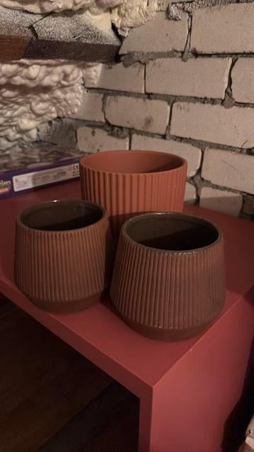 Drie leuke bloempotten beschikbaar voor biedingen