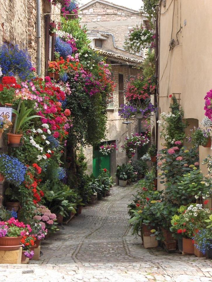 Tuinposter 200 x 150 cm (h x br.), Tuin en Terras, Tuinwanddecoratie, Nieuw, Verzenden