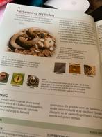 Nieuw: Wilde Dieren & Paddestoelen boek, Ophalen of Verzenden, Nieuw, Natuur algemeen