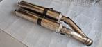SP Titanium Shotgun Aprilia Racing uitlaat slip-on, Motoren, Gebruikt, Ophalen of Verzenden, Aprilia, Aprilia