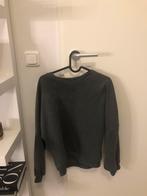 Trui, Kleding | Dames, Ophalen of Verzenden, Zo goed als nieuw, Maat 36 (S), Grijs