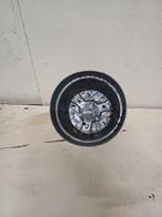 Kweekpotten 2 liter, Tuin en Terras, Bloempotten, Kunststof, Gebruikt, Info@krimpen.nl, Molenstraat 42
4758 AB Standdaarbuiten
Nederland