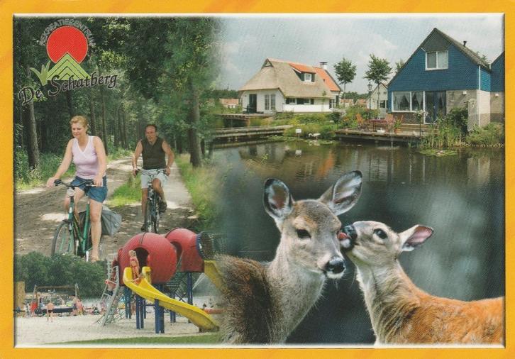 SEVENUM Recreatiecentrum De Schatberg, Verzamelen, Ansichtkaarten | Nederland, Gelopen, Limburg, 1980 tot heden, Verzenden