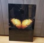 Te koop vlinder op glas schilderij, Ophalen, Nieuw, Schilderij, 75 cm of meer