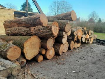 Rondhout brandhout stamhout  beschikbaar voor biedingen