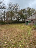 Opfokplek voor jonge hengsten Enigenburg, Dieren en Toebehoren, Stalling en Weidegang, Weidegang