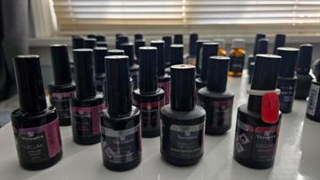 Gellak en nog veel meer beschikbaar voor biedingen