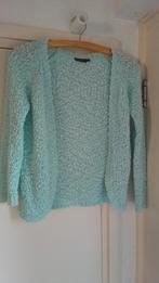 Lichtgroen vest maat 140, Kinderen en Baby's, Kinderkleding | Maat 140, Ophalen of Verzenden, Zo goed als nieuw, Meisje, Trui of Vest